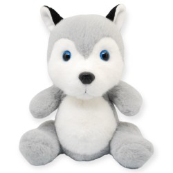 Perro Husky Greyko Med