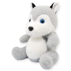 Perro Husky Greyko Med