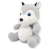 Perro Husky Greyko Med