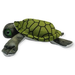 Tortuga Guaymas Gde
