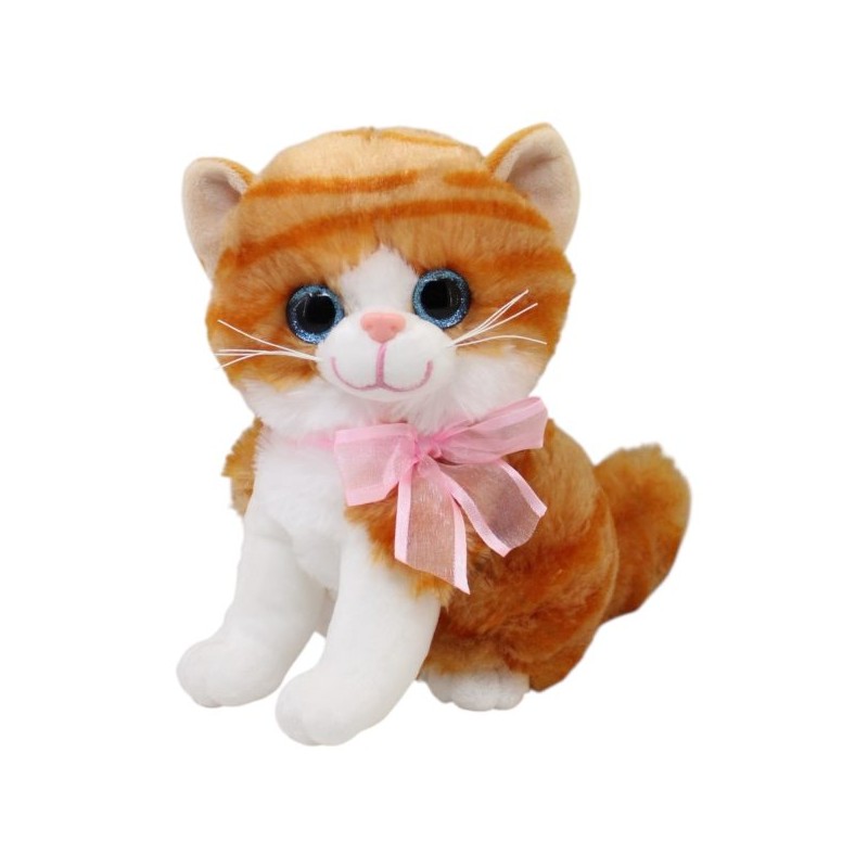 Gato Miguru Tangerine Med