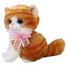 Gato Miguru Tangerine Med