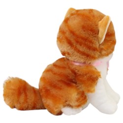 Gato Miguru Tangerine Med