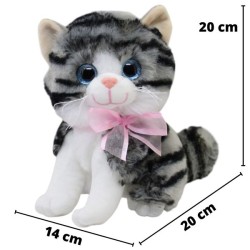 Gato Miguru Taby Med