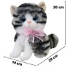 Gato Miguru Taby Med
