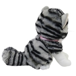 Gato Miguru Taby Med