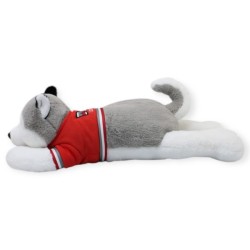 Perro Husky Alpinky Mega