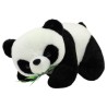 Panda Yinyang Med