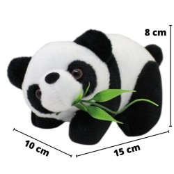 Panda Baby Xing Ch