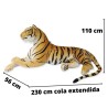 Tigre Siberiano Echado Royal