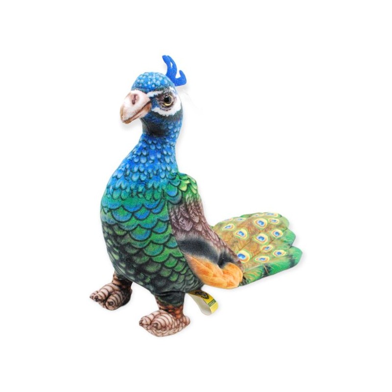 Pavo Real Premium