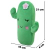 Lapicera Cactus