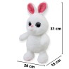Conejo Le Blanc Med